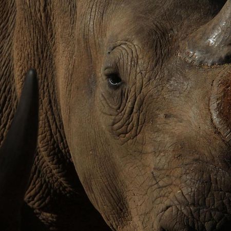 Kifaru Luxury Lodge Outjo Zewnętrze zdjęcie